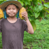 Cacao farmers