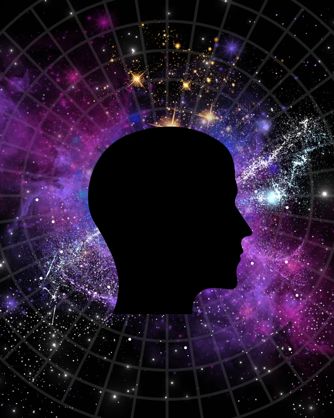 Human Consciousness