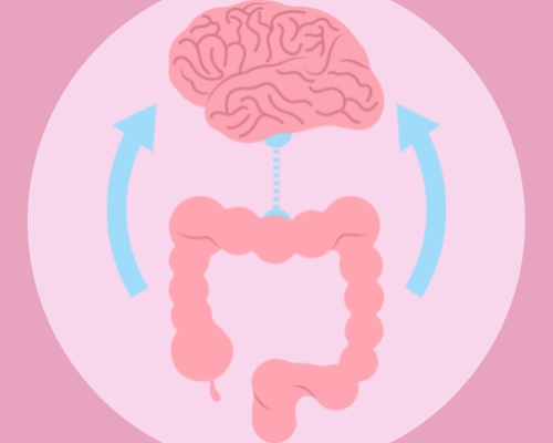 Gut Brain Connection