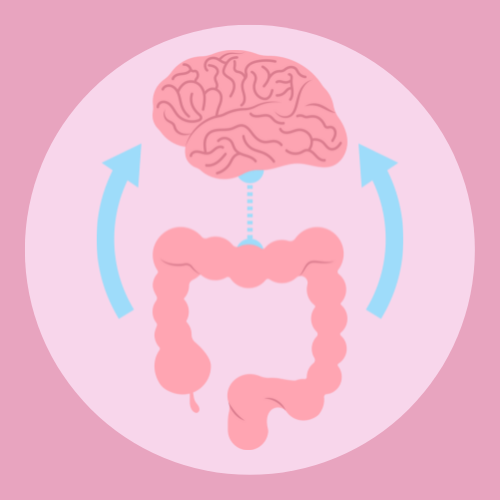 Gut Brain Connection