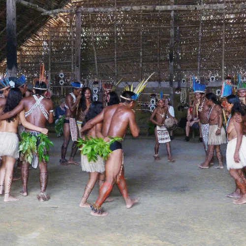 indigenous medicines