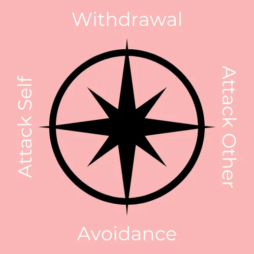 Shame-Compass | Nurse Sarah Barker Compasss of Shame