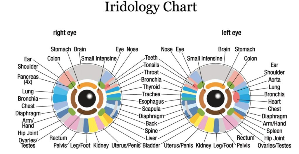 Iridology-1-1024x529 What is Iridology