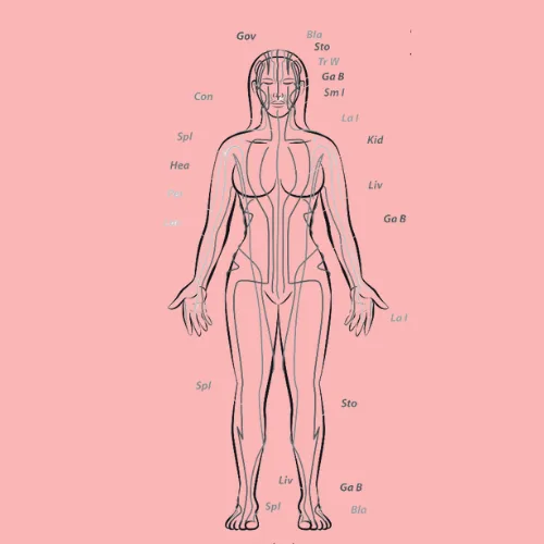 Meridians | Nurse Sarah Barker Meridians