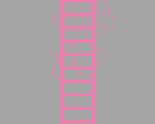 Polyvagal Ladder