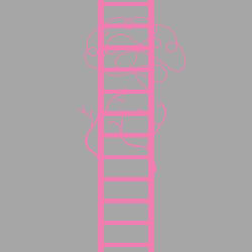 Polyvagal Ladder