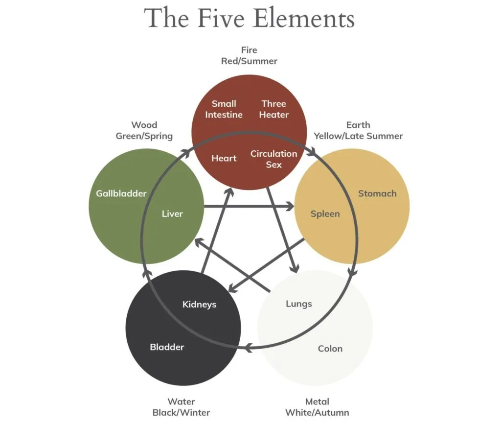 TheElements | Nurse Sarah Barker Five Elements Meridians