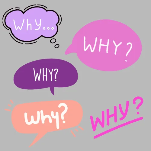 5 whys