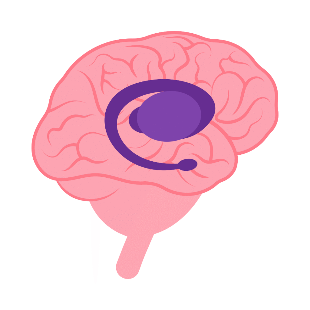 ADHD 1 | Nurse Sarah Barker amygdala