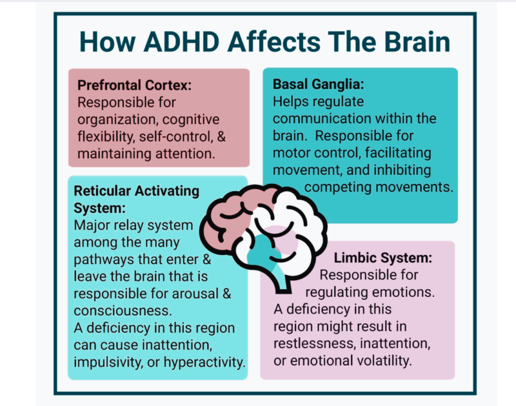 Screenshot 2025-12-05 at 201508 | Nurse Sarah Barker Task transitions ADHD