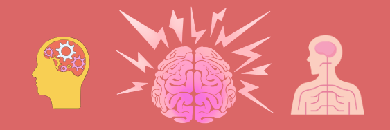 Anger and Nervous System | Nurse Sarah Barker Anger and Nervous System