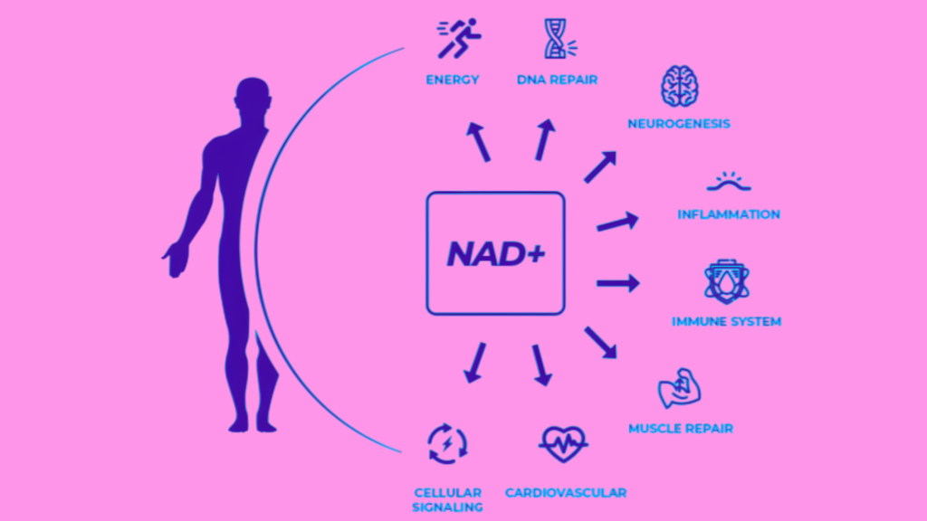 Nad Benefits | Nurse Sarah Barker Nad Benefits