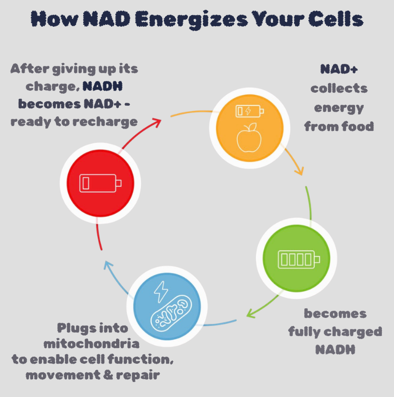 Nadblog-2 | Nurse Sarah Barker